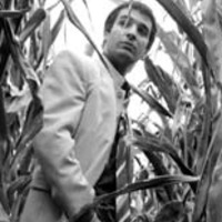 Bertrand Piocelle - Auteur