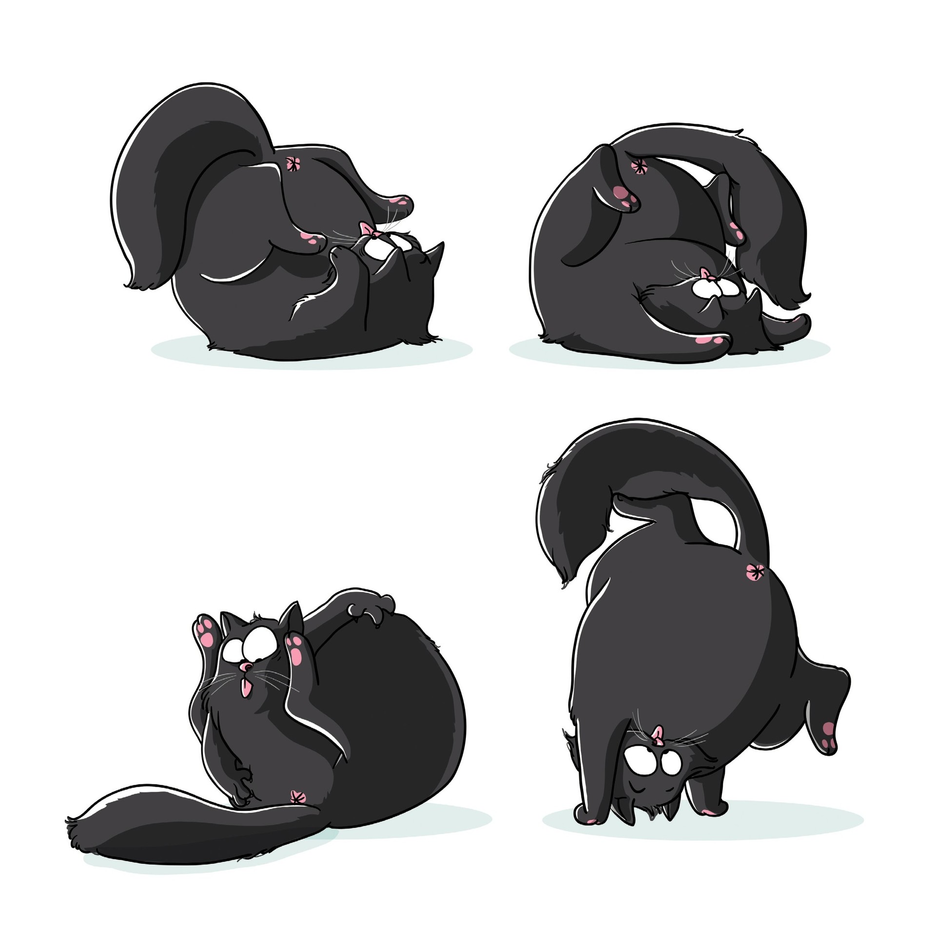 Chat-Bouboule - Extrait 1