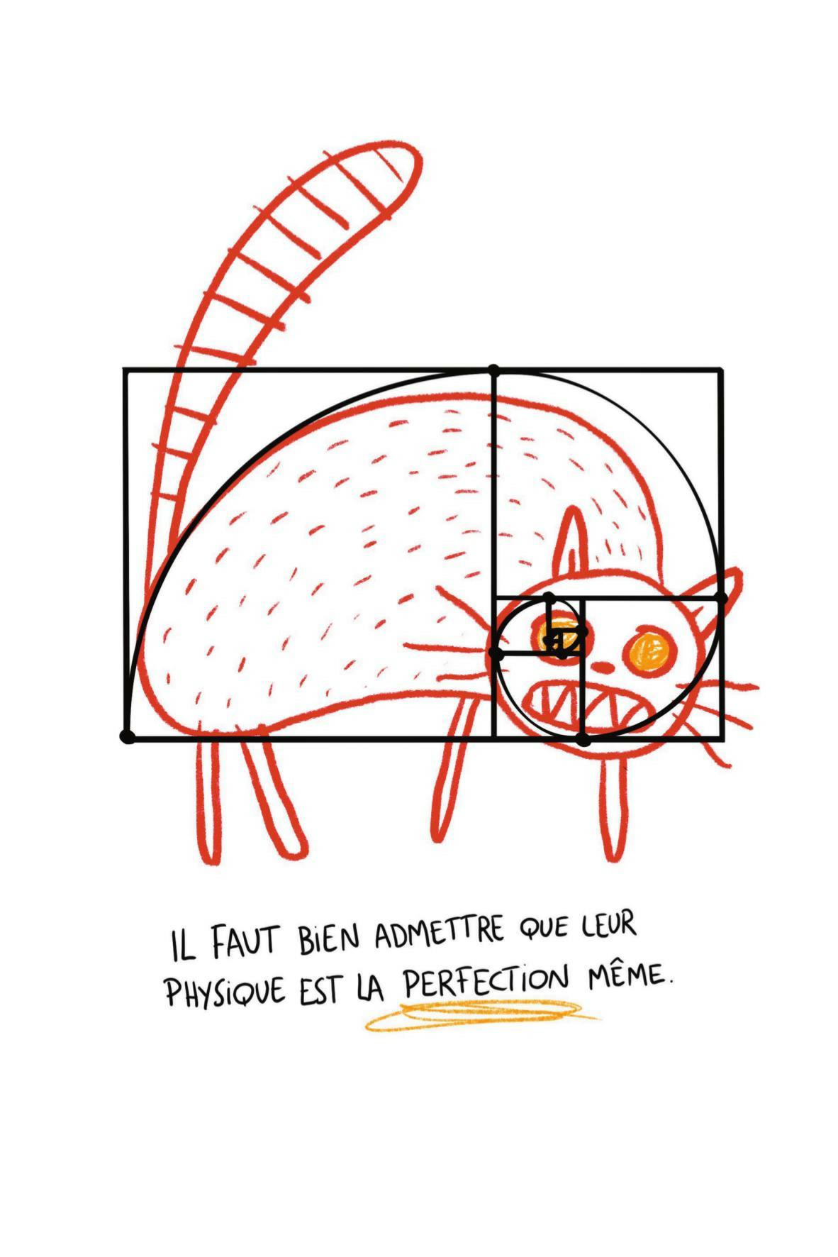 J'adore mon chat (mais il s'en fout complètement) - Extrait 1