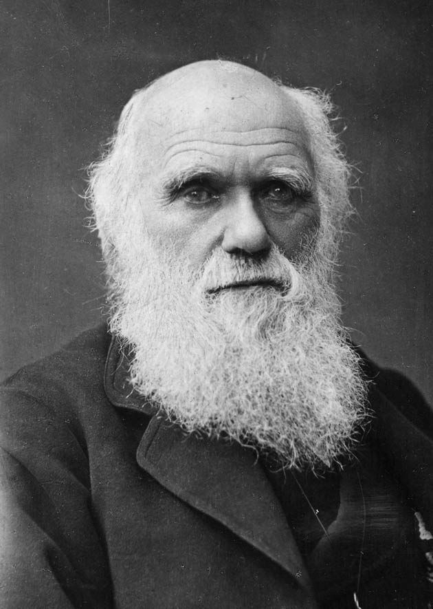 Charles Darwin - Auteur