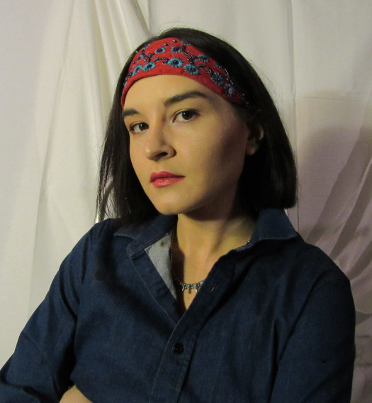 Darcie Little Badger - Auteur