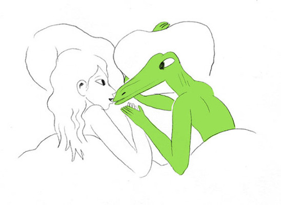 Le projet Crocodile