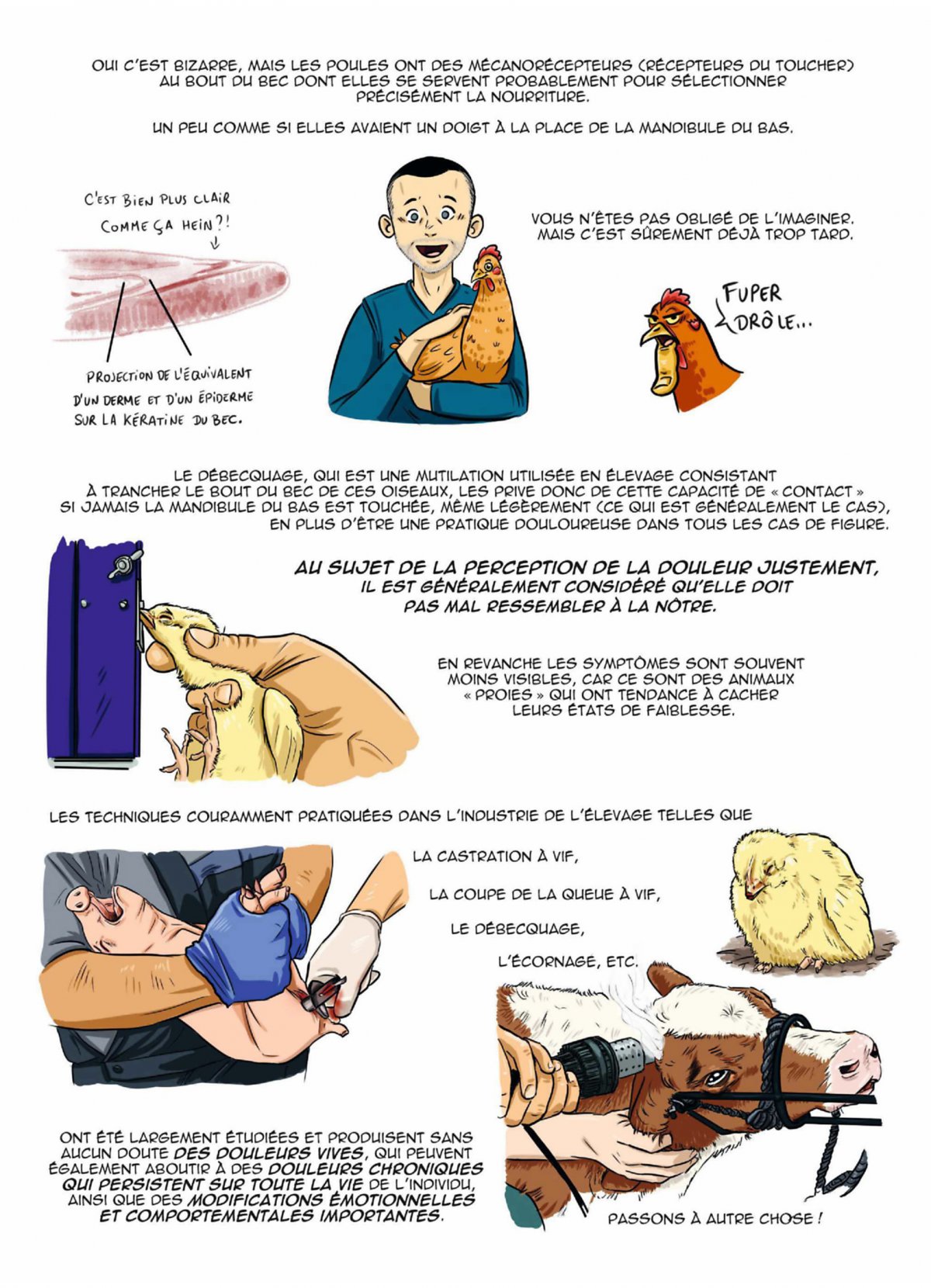 Cerveaux de la ferme(Les) - Au coeur des émotions et des perceptions - Extrait 1