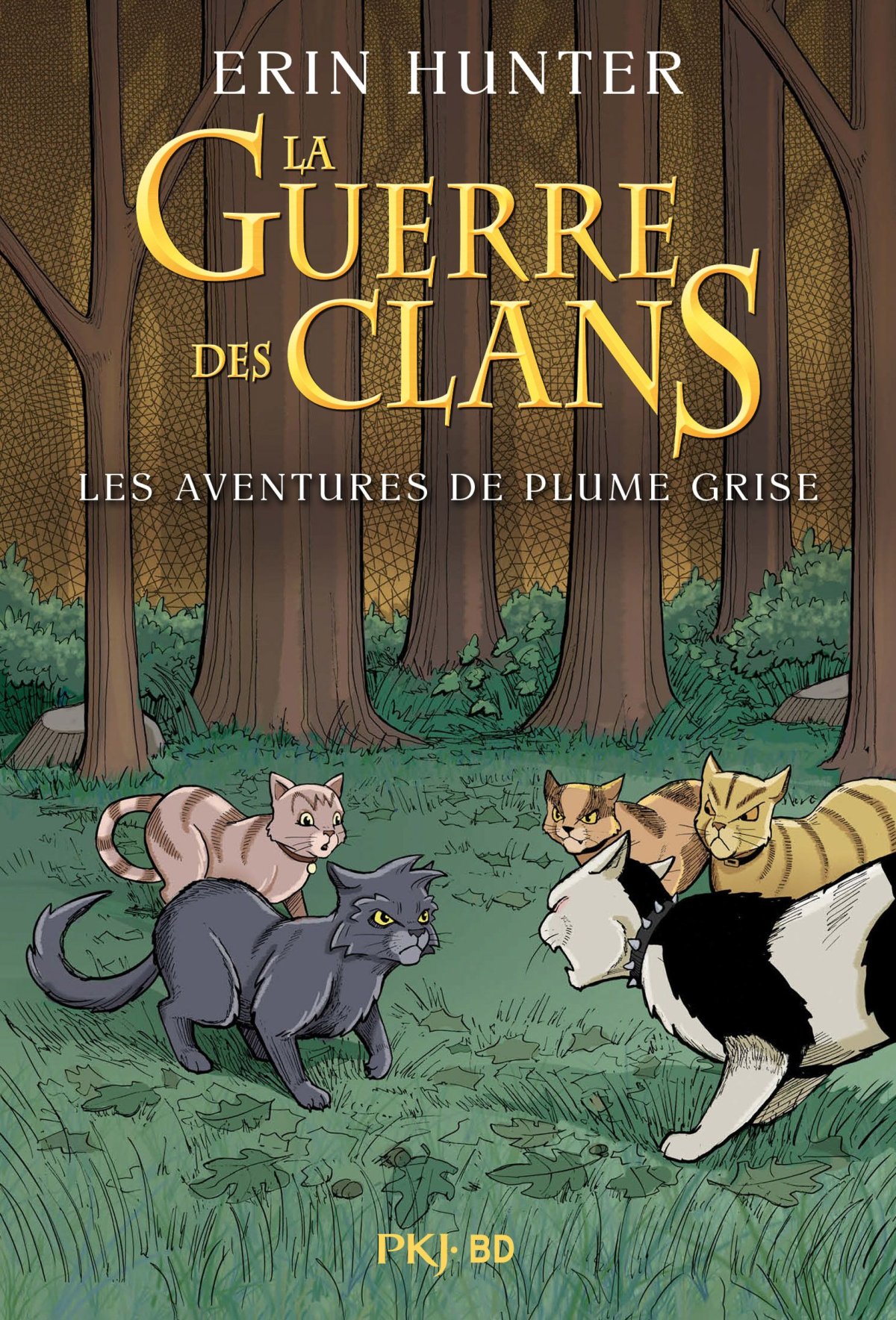 Aventures de Plume Grise (Les)