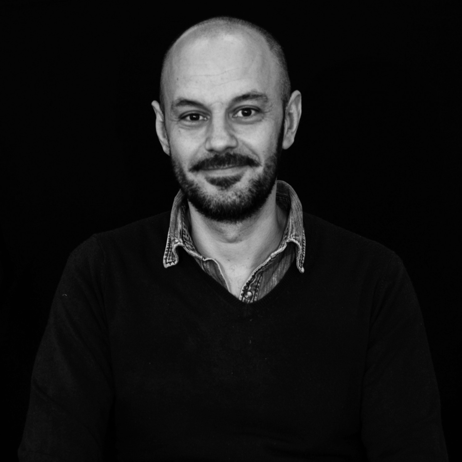 Francesco D'Ippolito - Auteur