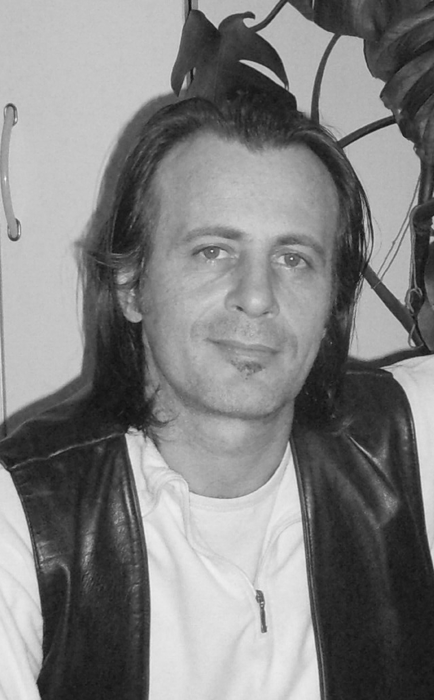 Zivorad Radivojevic - Auteur