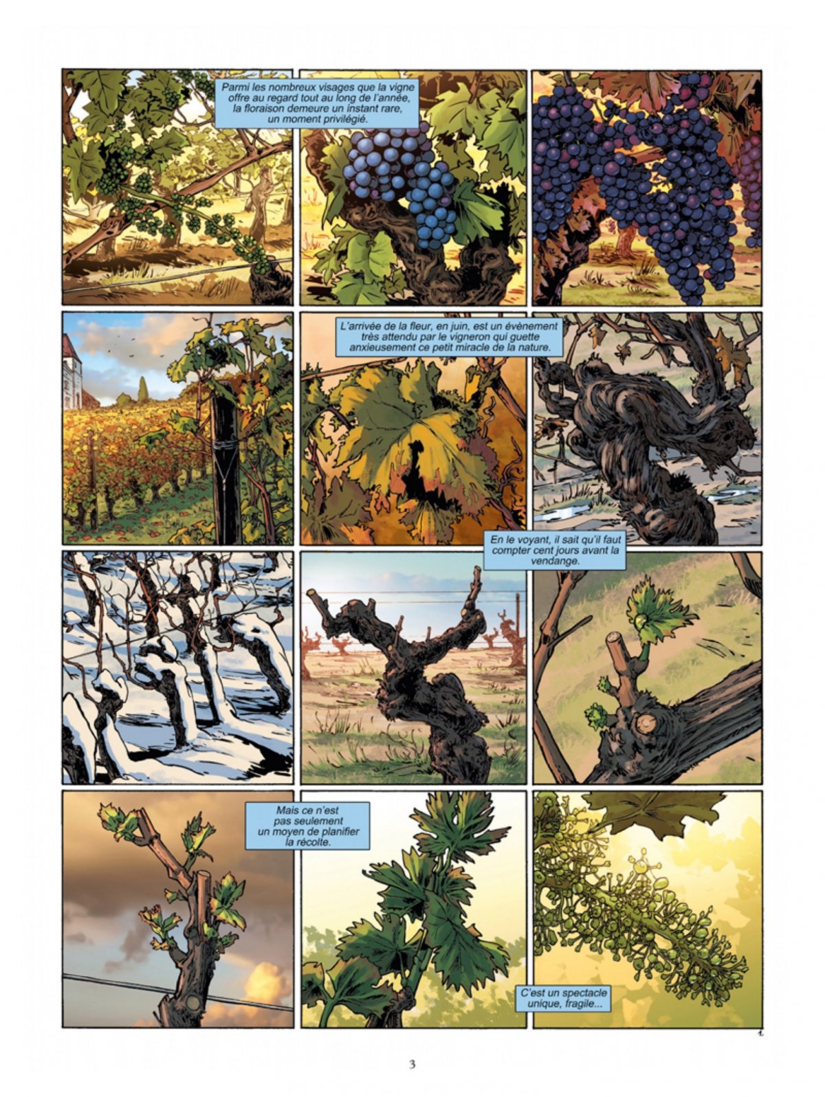 Courtier (Le) - Extrait 1