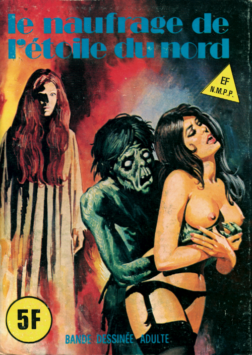 Le naufragé de l'étoile du nord