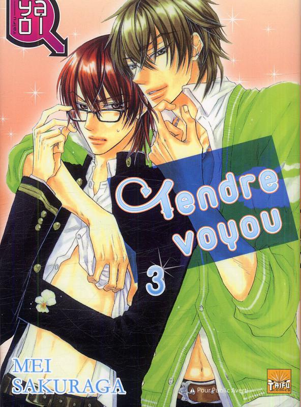 Tendre voyou 3