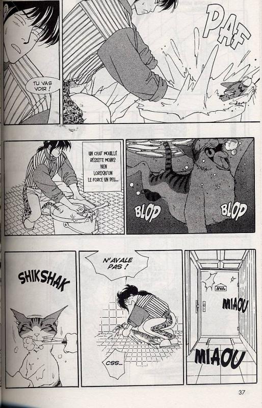 Cats 2 - Extrait 1