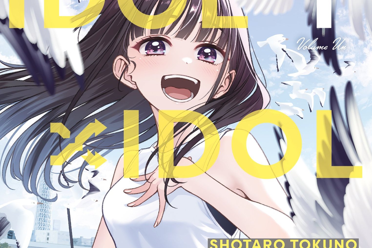 Série IDOLxIDOL STORY