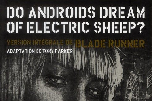 Série Do androids dream of electric sheep ?