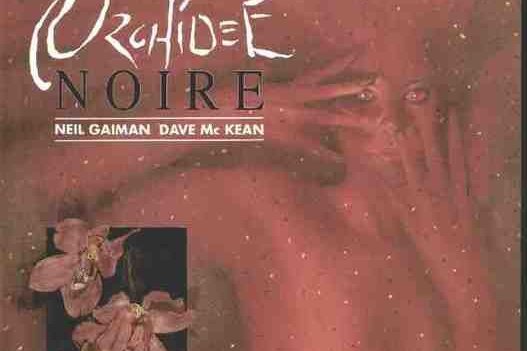 Orchidée noire (L')