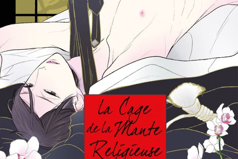 Série Cage de la Mante Religieuse (La)