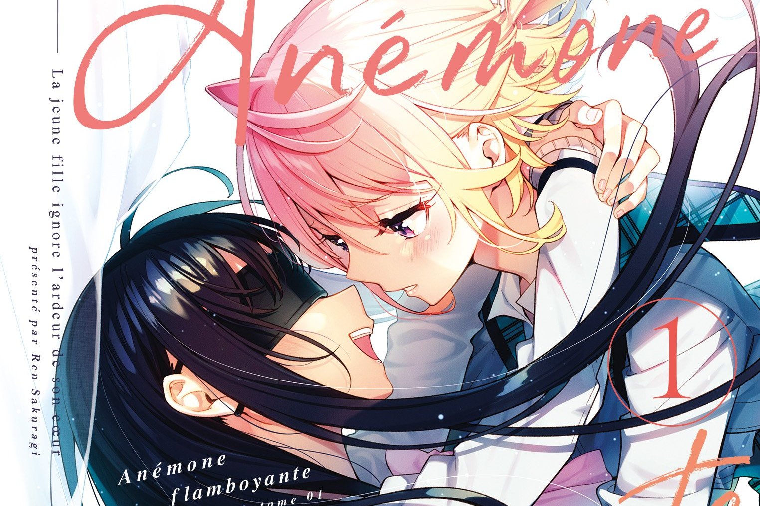 Série Anémone flamboyante