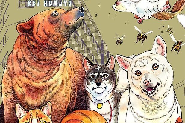 Série Noah's Ark