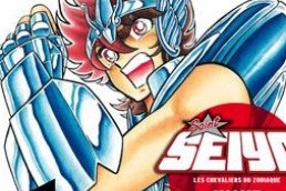 Série Saint Seiya - Deluxe (les chevaliers du zodiaque)