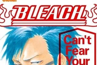 Série Bleach - Can't Fear Your Own World