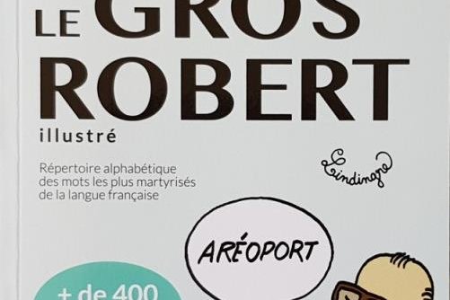 Série Gros Robert illustré (Le)
