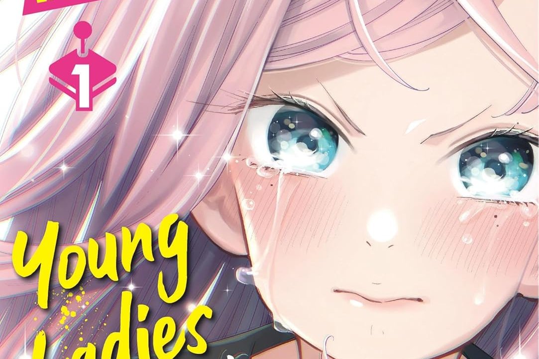 Série Young Ladies don't play Fighting Games