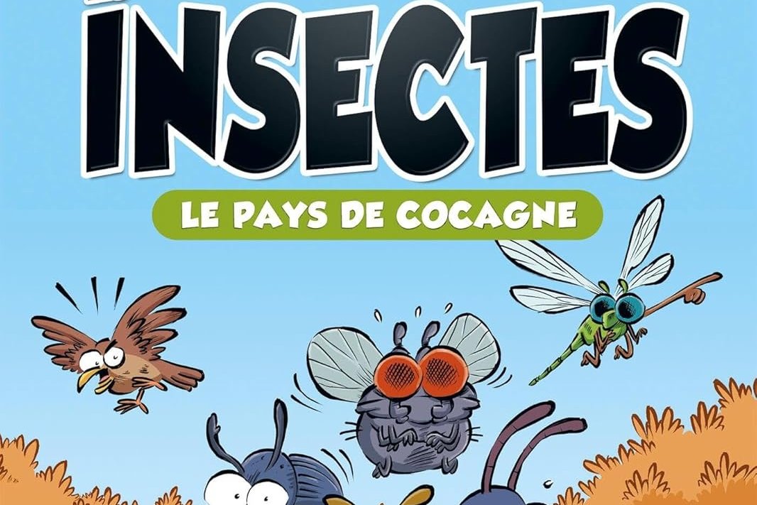 Les Insectes - Romans