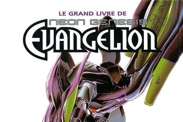 Série Neon-genesis evangelion (Grand format)