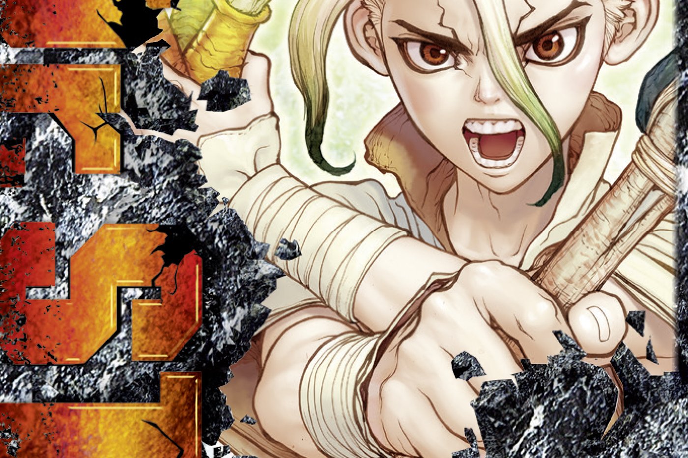 Série Dr. Stone