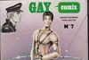 Série Gay Comix