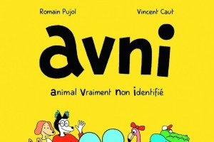 Série Avni