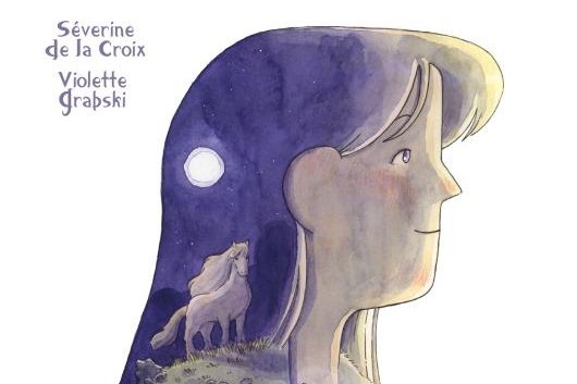 Série Livre d'Ayla (Le)