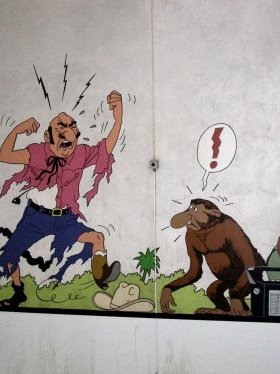 JPEG image/jpeg 500 x 374