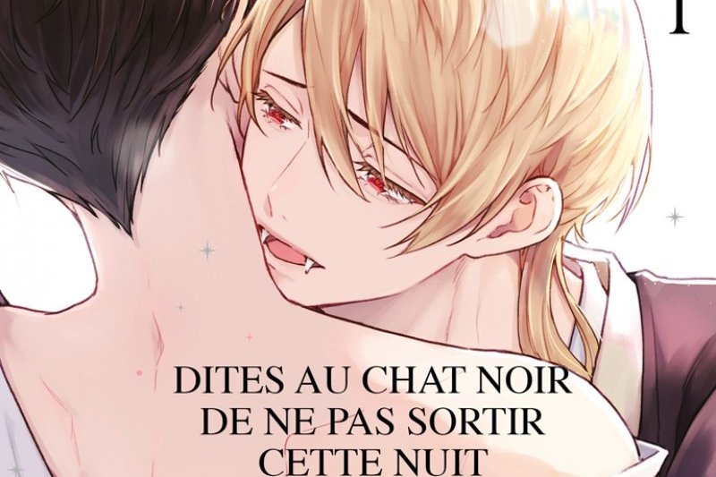 Série Dites au chat noir de ne pas sortir cette nuit