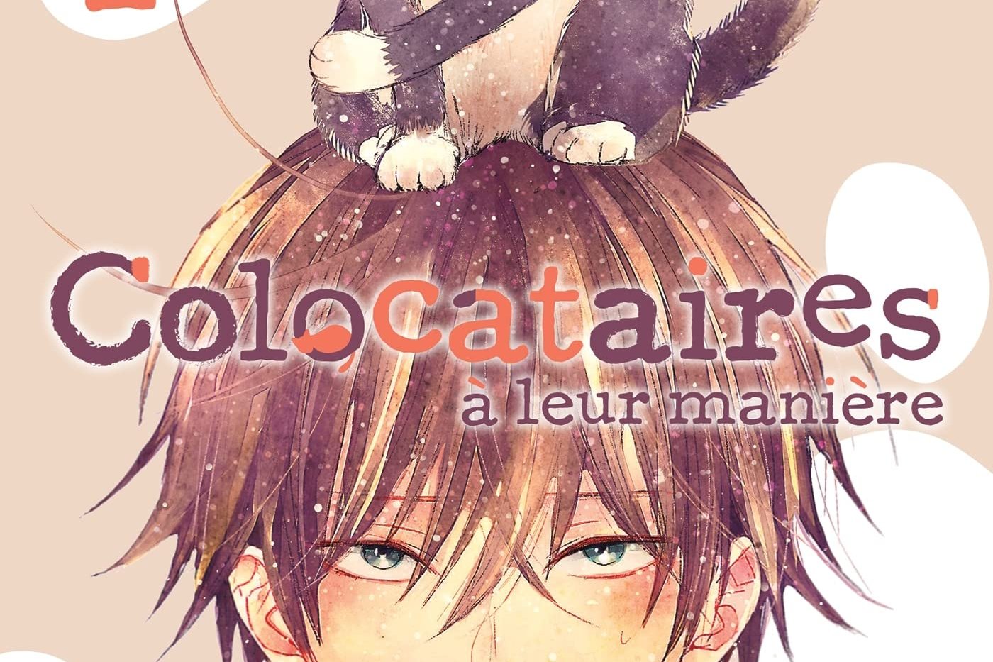 Série Colocataires à leur manière