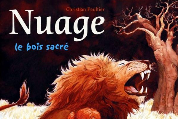 Série Nuage
