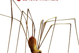 Série Minuscule Poche