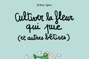 Série Bêtises (Les)