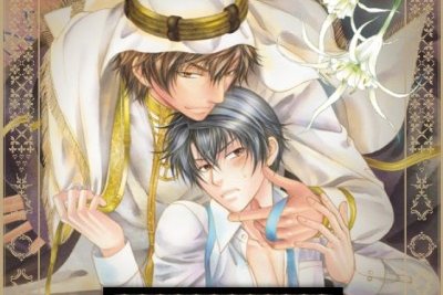 Série Arrogant prince and secret love