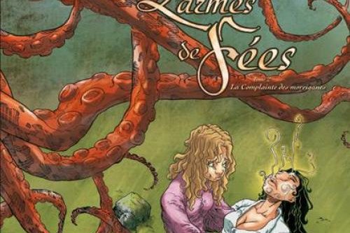 Série Larmes de fées (Les)