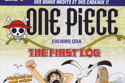 Série One Piece Log