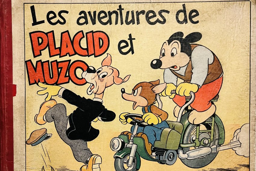 Série Placid et Muzo (Les aventures de)