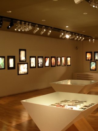 Vue d'ensemble de la salle d'exposition