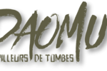 Série Daomu - Pilleurs de tombes