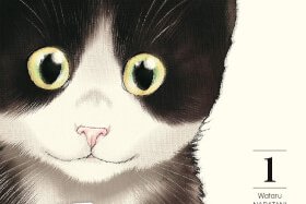 Série Gameuse et son chat (La)