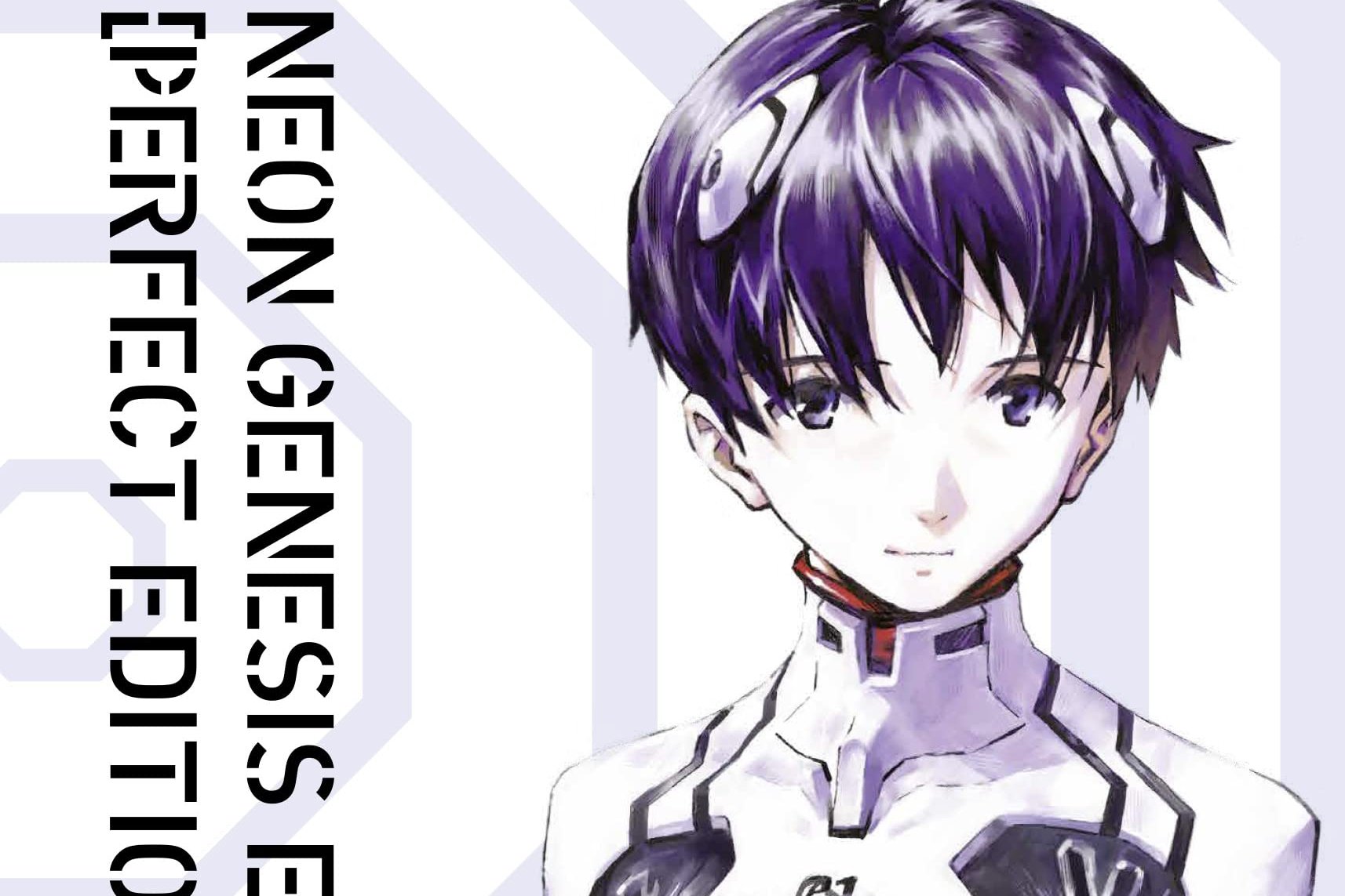Série Neon Genesis Evangelion Perfect Edition