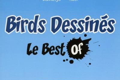 Série Birds Dessinés