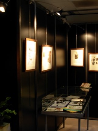 JPEG image/jpeg 570 x 428