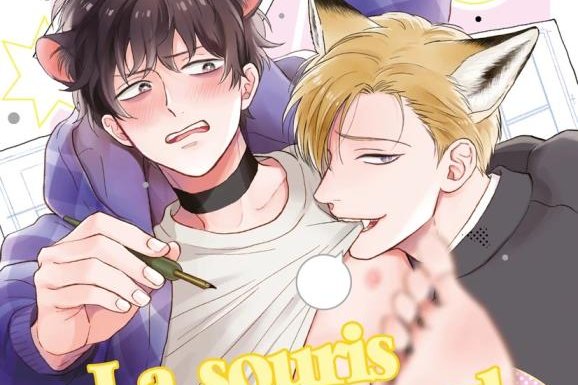 Série Souris et le renard (La)