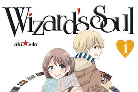 Série Wizard's Soul