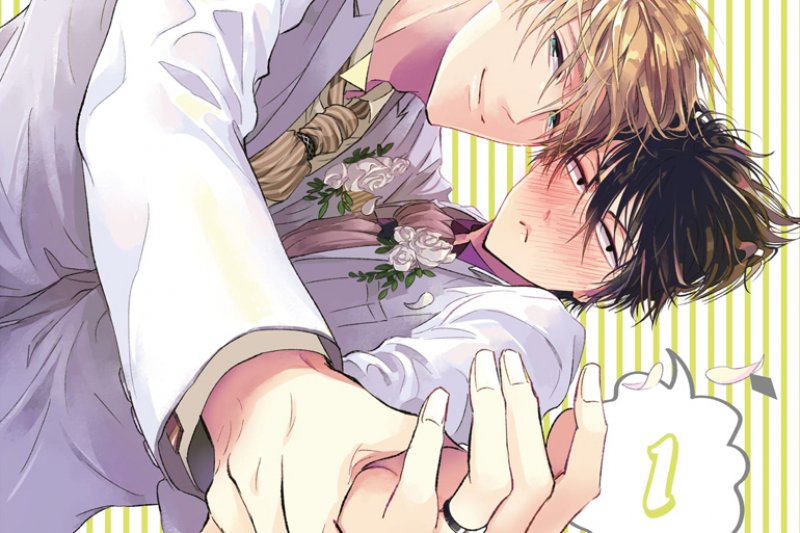 Série Jeunes probablement mariés ! (Les)