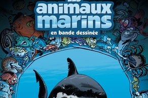 Série Animaux marins en BD (Les)